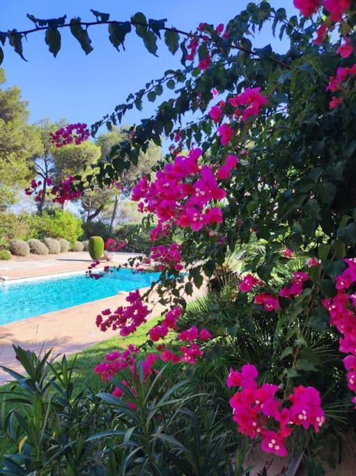 La Californienne Villa Carqueiranne Luaran gambar